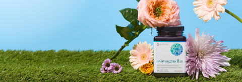 find your zen zonewith KSM-66® ashwagandha