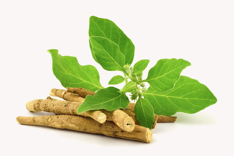 youtheory ashwagandha liquid