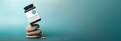 find your zen zonewith KSM-66® ashwagandha
