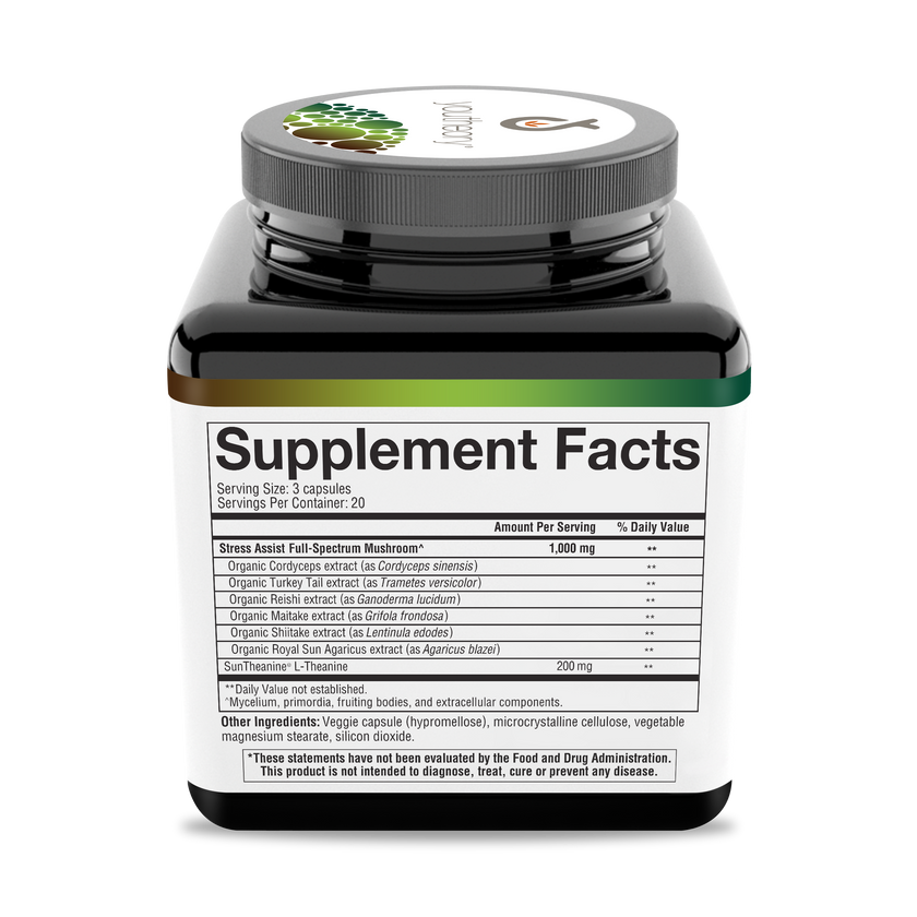 youtheory Mushroom Stress Complex