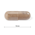 31002383 Youtheory Shilajit Capsules Contents Image