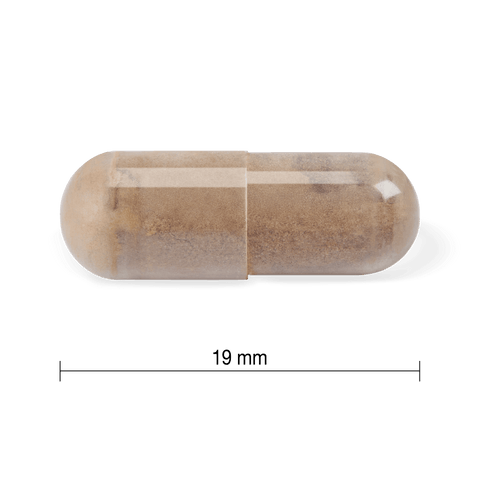 31002383 Youtheory Shilajit Capsules Contents Image