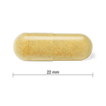 31001880 Youtheory Ashwagandha 7,200 mg, 60 ct Contents Image