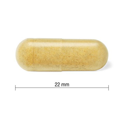 31001880 Youtheory Ashwagandha 7,200 mg, 60 ct Contents Image