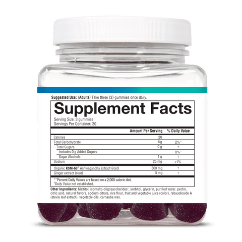 ASHG.92031 Youtheory Ashwagandha Gummies Blueberry Flavor 60 Gummies Product Image - Right