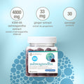 31002295 Youtheory Ashwagandha Gummies Zero Sugar 2,400 mg, Blueberry, 60 ct Digital Shelf Image 4