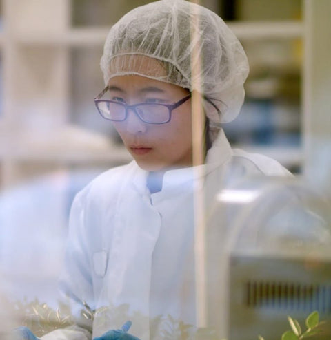 Image of quality assurance worker in a lab coat and hair net