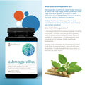 31001880 Youtheory Ashwagandha 7,200 mg, 60 ct Digital Shelf Image 5