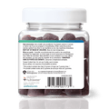 31002295 Youtheory Ashwagandha Gummies Zero Sugar 2,400 mg, Blueberry, 60 ct Product Alt Image
